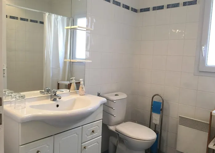 Vakantiehuis Maison Neuve Avec Jardin, A 1.5km, Animaux Acceptes, Equipements Familiaux Et Sportifs - Fr-1-336-100 *