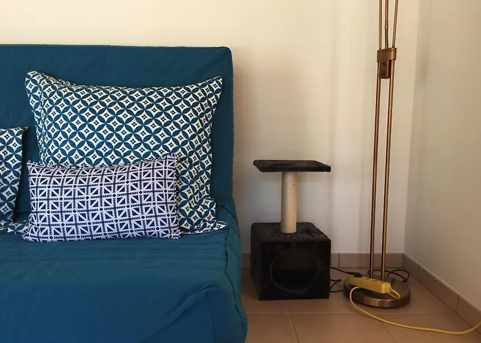 Maison Neuve Avec Jardin, A 1.5km, Animaux Acceptes, Equipements Familiaux Et Sportifs - Fr-1-336-100 * Longeville-sur-Mer